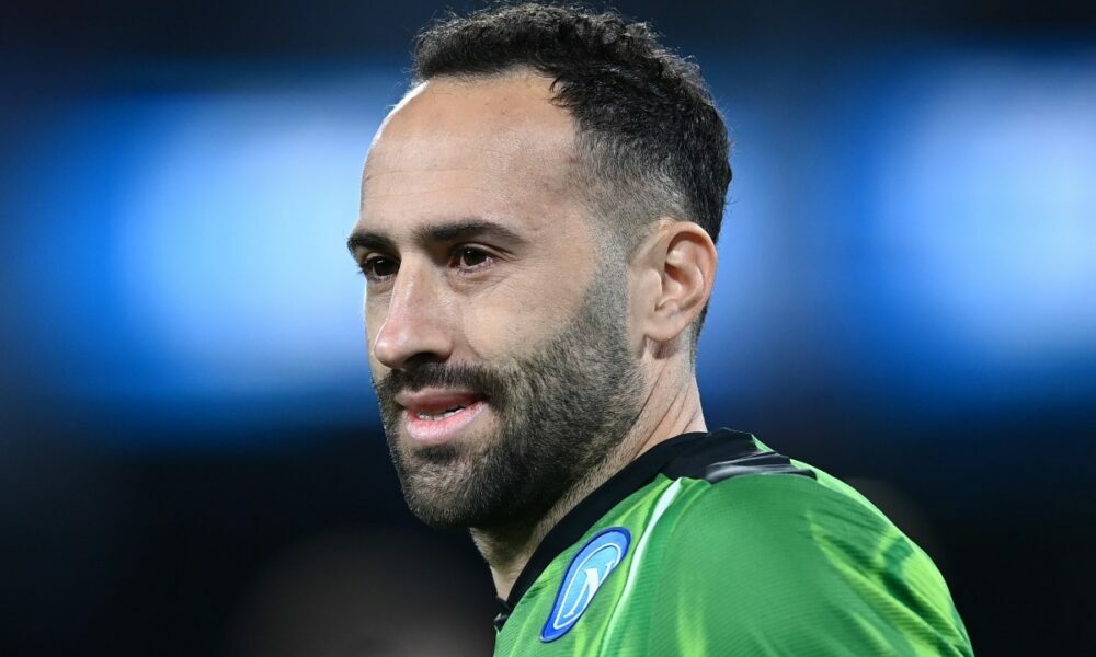 Napoli Opsina, signos positivos para una renovación: lo último