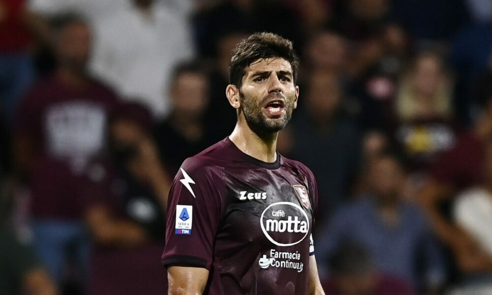 Marcador Bologna Salernitana: TOP y FLOP del partido