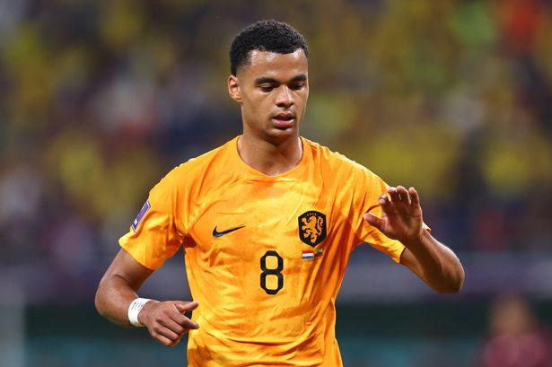 Traspaso de Cody Gakpo al Arsenal: Precio, veredicto fresco, giro del Man United, admisión del Liverpool