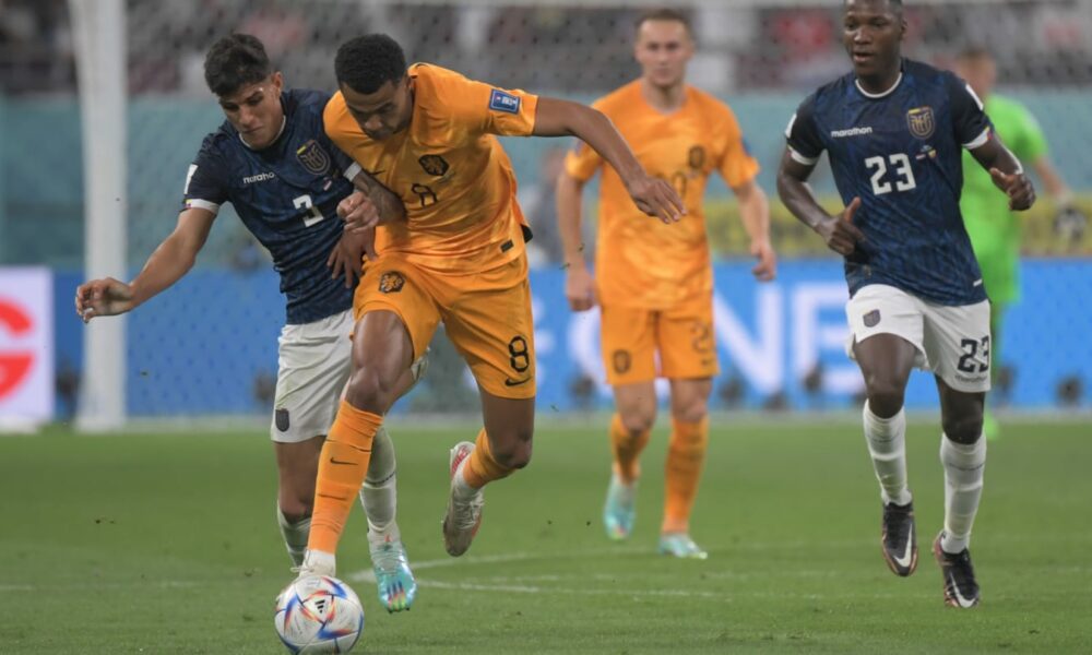 ¿Qué necesitan Holanda, Ecuador y Senegal para clasificarse?