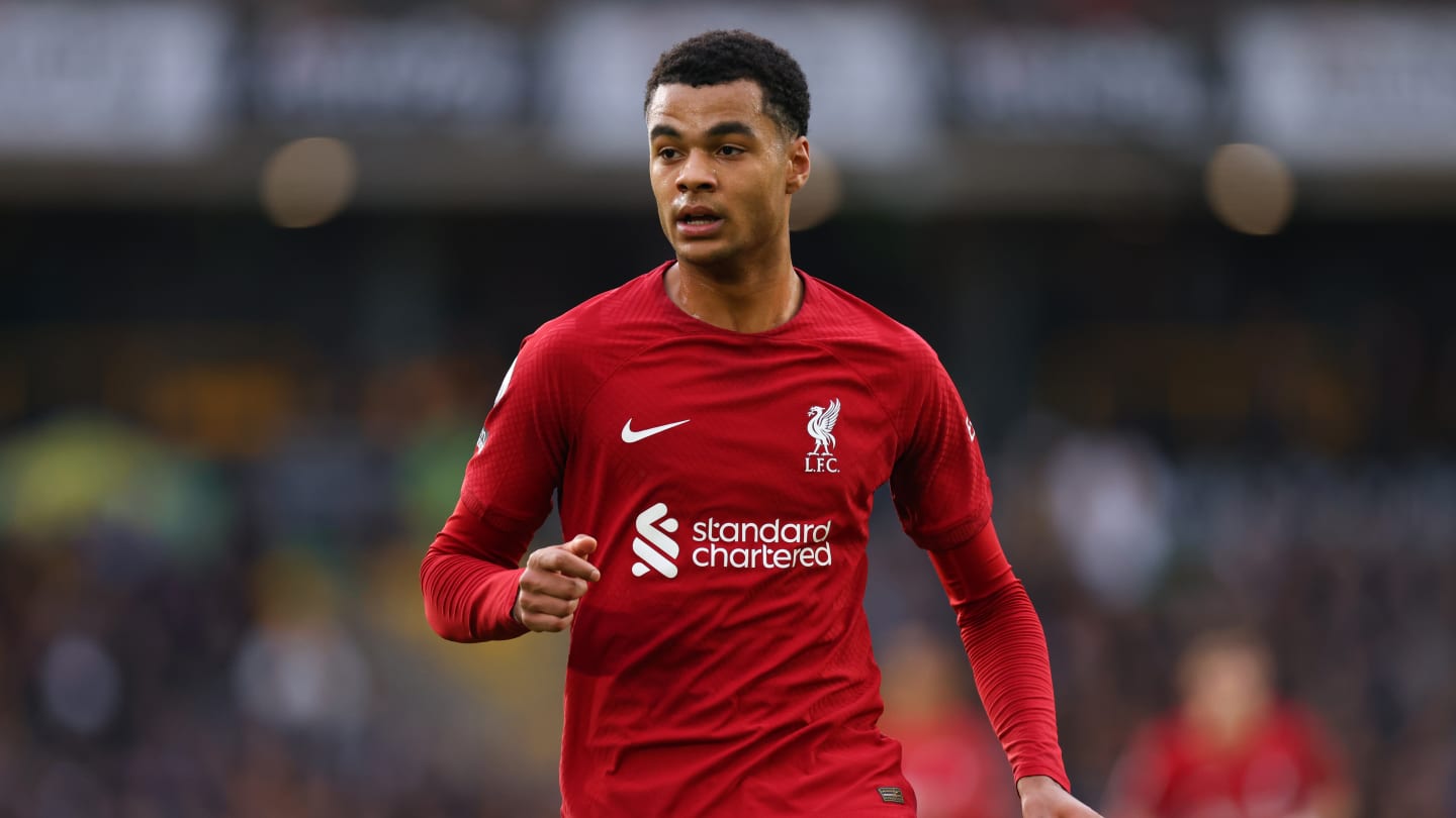 Cómo Cody Gakpo puede protagonizar el Newcastle vs Liverpool